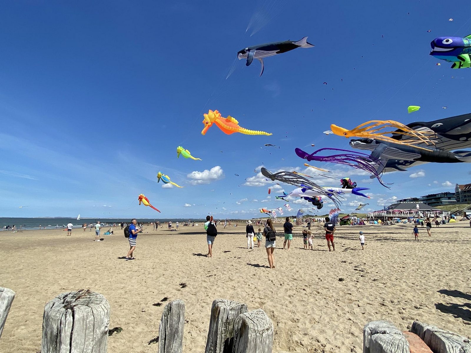 Zonneweelde Beach Loft voor 6